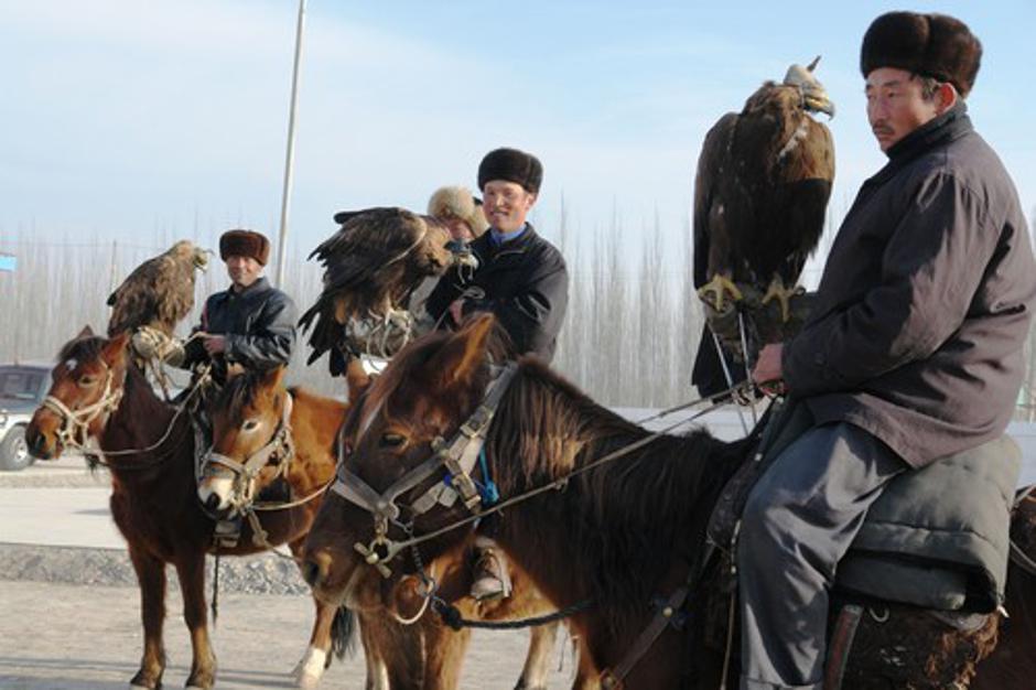 Ujede | Avtor: Profimedias