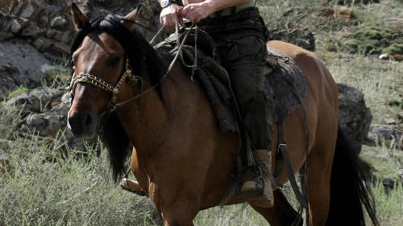 Ruski premier rad razkazuje svoje telo, a vsega ni še nikoli pokazal.