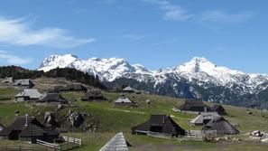 POMLAD VELIKA PLANINA