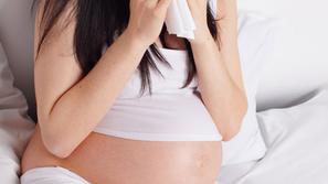 Zivljenje 25.11.13, nosecnica, nosecnost, foto: shutterstock