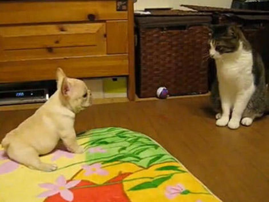  | Avtor: Žurnal24 main