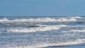 Padre Island, Texas.