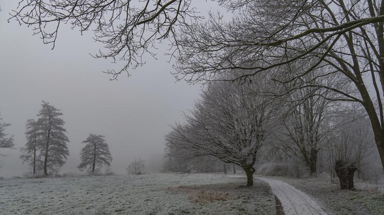 zima mraz zmrzal nizke temperature slana ivje
