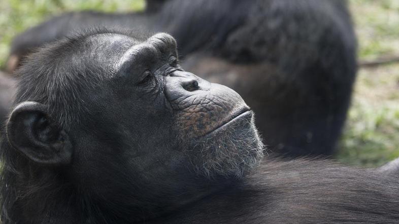 Slika je simbolna. (Foto: Shutterstock)