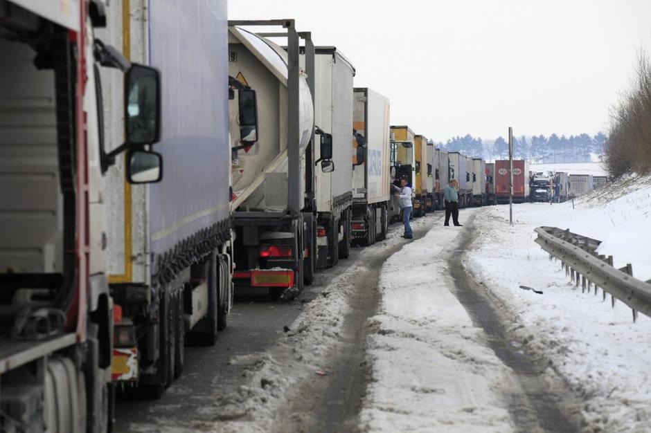 Kolona tovornjakov | Avtor: Reuters