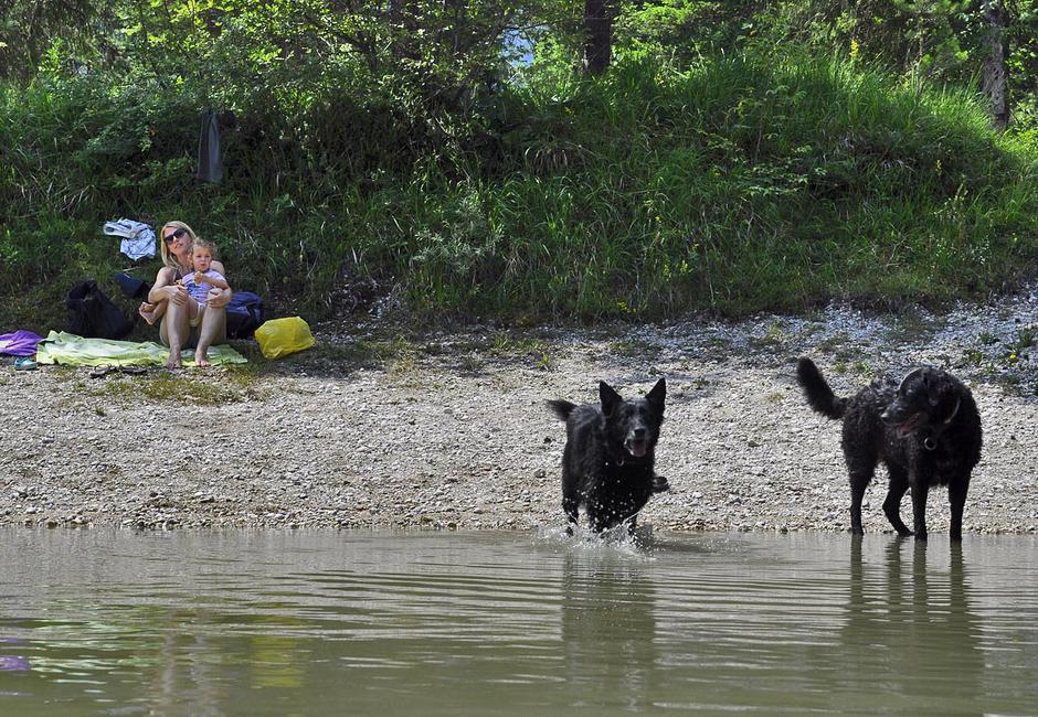 Urša, Kam z mulcem | Avtor: Andreja Cilenšek
