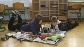 Delo terapevtskega psa