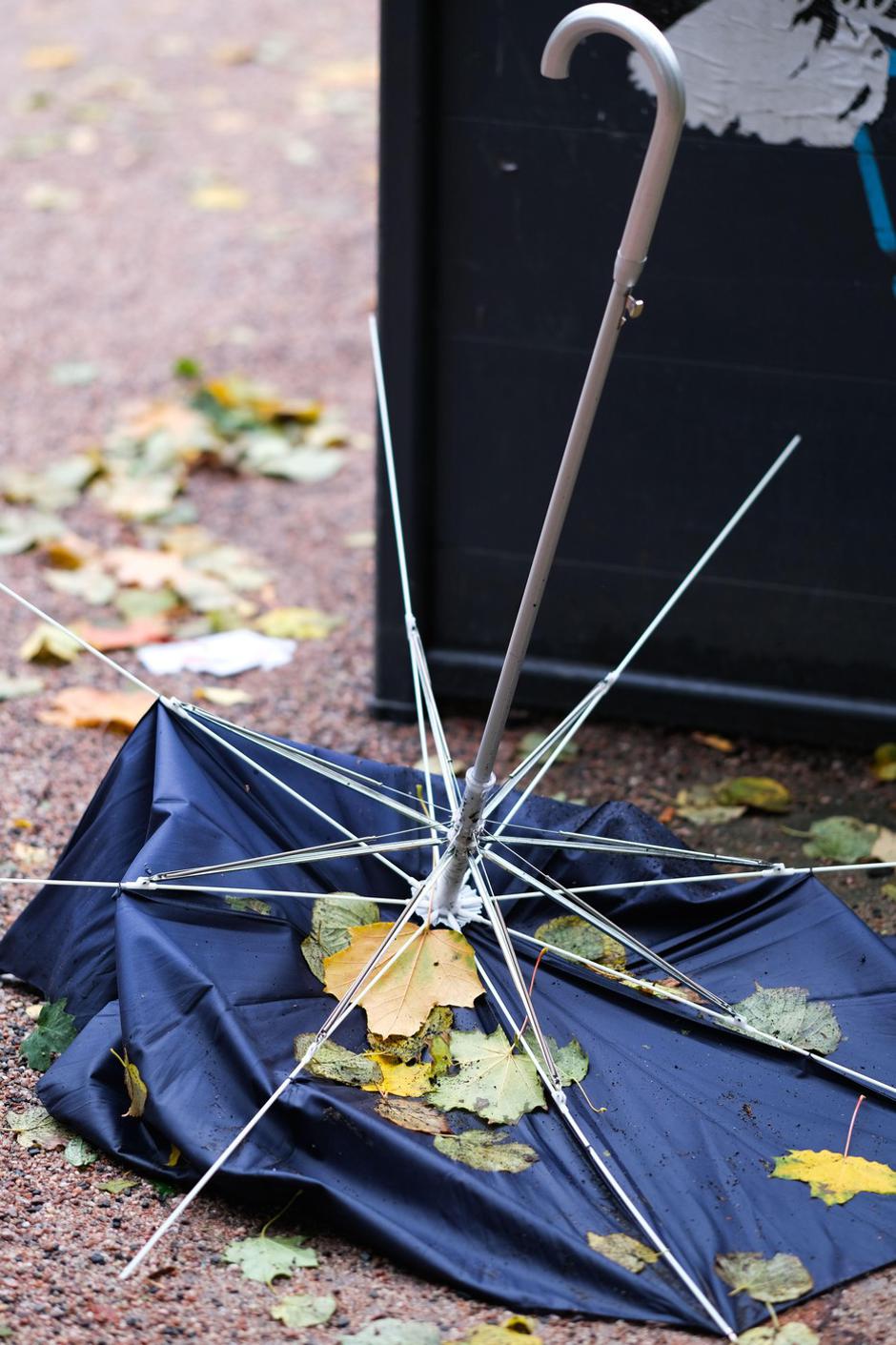 Neurje jeseni | Avtor: Profimedia