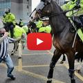 navijač udaril konja Newcastle Sunderland