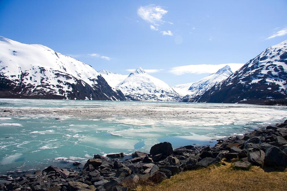 aljaska | Avtor: Shutterstock