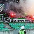 Tekma Maribor - Olimpija Pokal Slovenije Ljubljana Green Dragons navijači