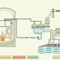 Skica delovanja jedrske elektrarne. (Foto: NEK)