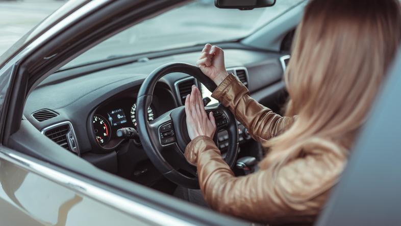 Jezen voznik jezna voznica