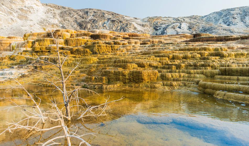 Turisti množično odpovedujejo potovanja v ZDA: 