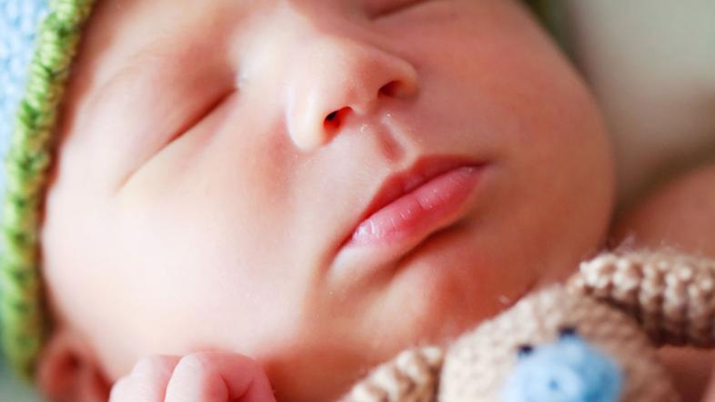 (Foto: Shutterstock)