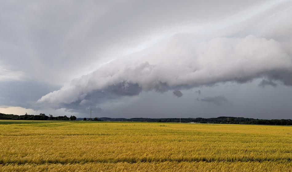 Ta teden se pripravite na šoke, to napovedujejo!