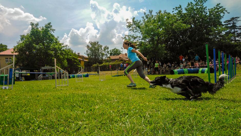 Daša in Kas | Avtor: Jaša Levstik