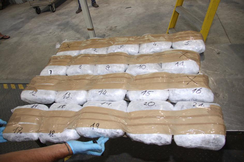 carina zaseg konoplja 