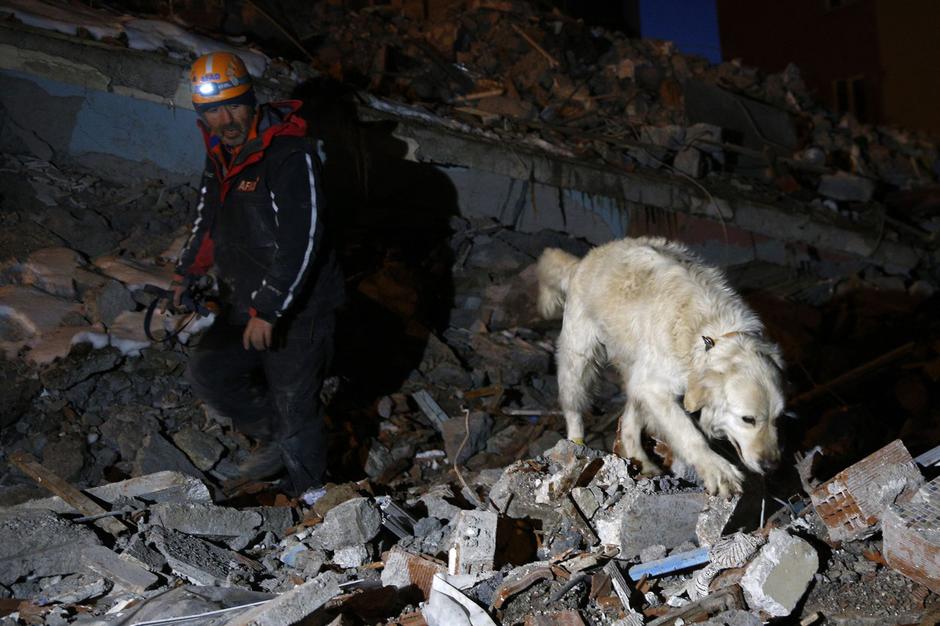 reševalni pes med iskanjem v ruševinah po potresu v Turčiji | Avtor: Profimedia