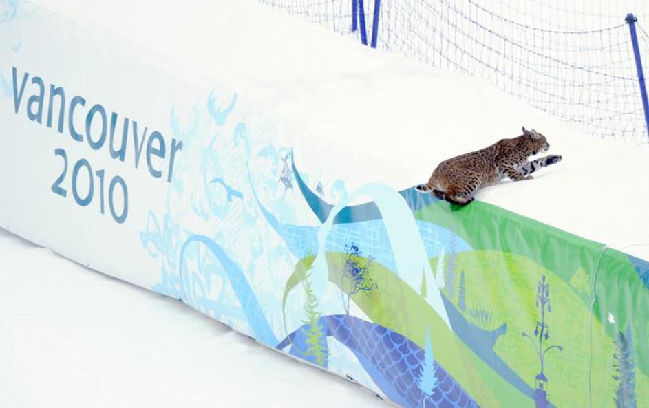 olimpijske igre whistler ris
