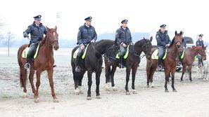 Prevzem konj na PU Ljubljana