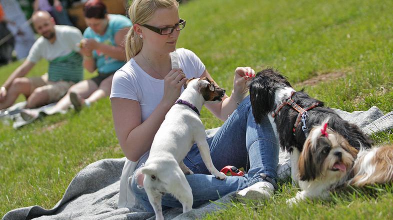 1. Dan hišnih ljubljenčkov je na sončno nedeljo potekal v ljubljanskem Tivoliju.