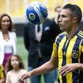 robin van persie