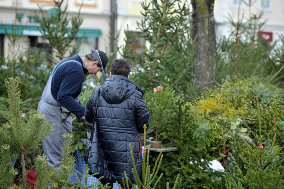 Gneča pred božičem