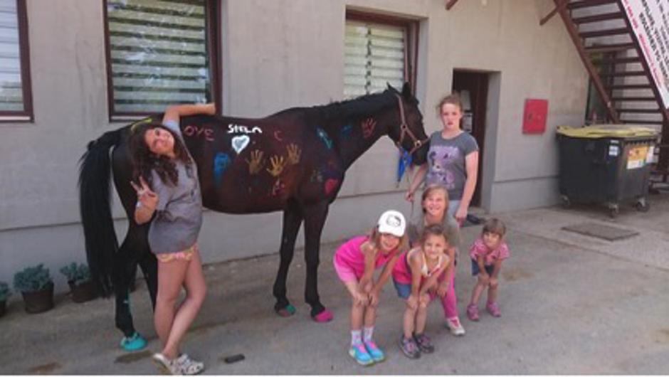 Konjeniški klub Gibanje | Avtor: Konjeniški klub Gibanje