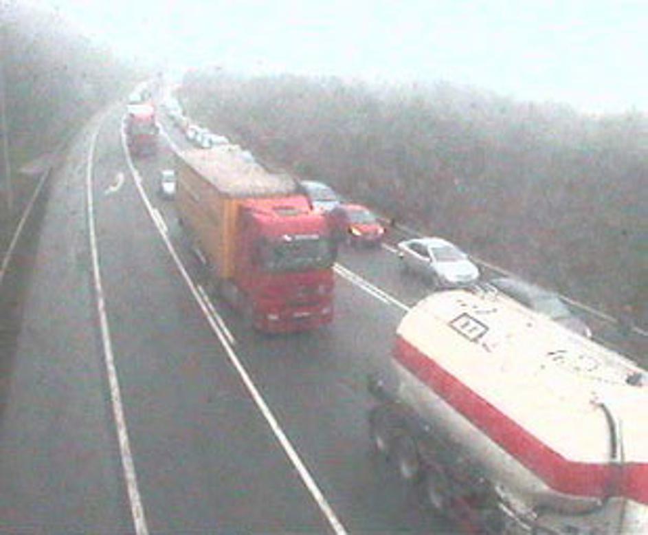 Pred predorom Golovec