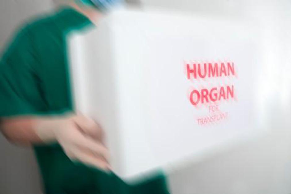 Darovanje organov Gettyimages | Avtor: Žurnal24 main