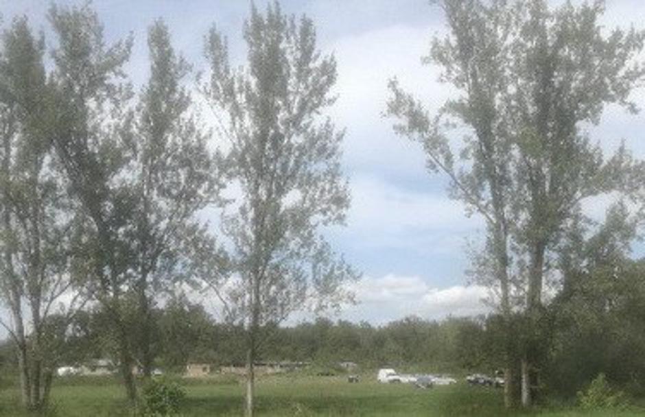 Romi-Dobrava | Avtor: 