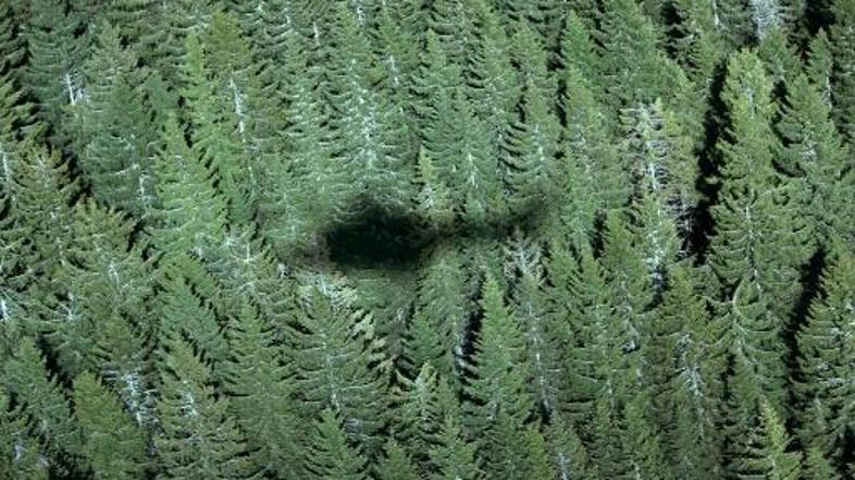 V helikopterski nesreči naj bi umrlo najmanj deset ljudi.