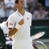 Novak Đoković Wimbledon polfinale