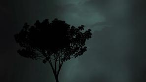 Nevihta, oblaki, neurje