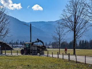 traktor gozd spravilo lesa