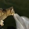 (Foto: youtube.com)