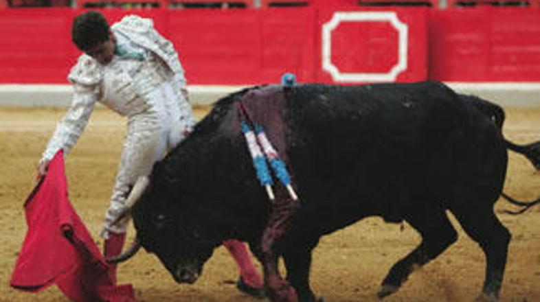 Matador je najprestižnejši rang, ki ga lahko doseže bikoborec.