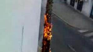 (Foto: Bralec Žurnala24)