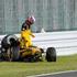 Vitalij Petrov Renault nesreča