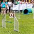 Festival za ljubitelje živali 2026