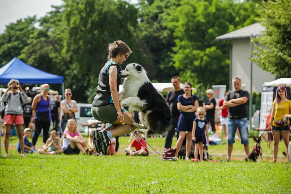 Festival za živali | Avtor: Saša Despot