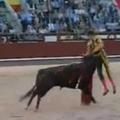 Bik je metadorja zabodel v trebuh.
