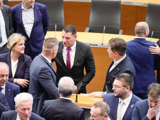 zorna stevanović, SDS