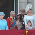 britanska kraljeva družina, meghan markle, princ harry, princ Charlest, Kate Middleton