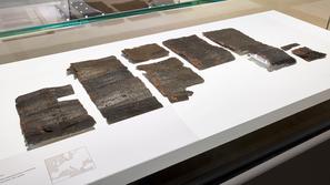 Deželni muzej v Bonnu, razstava, Franki