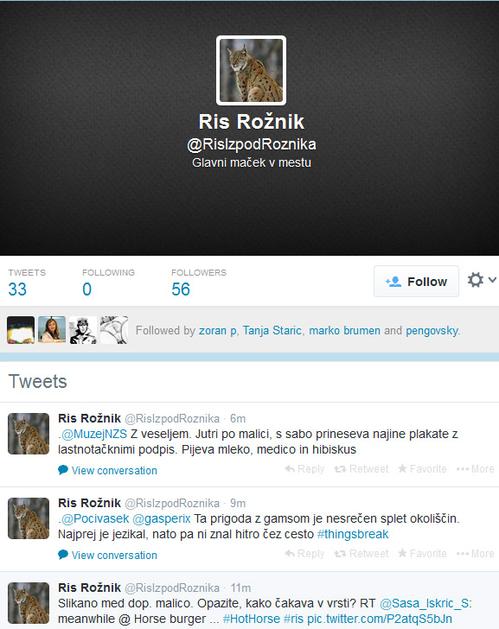 Risa imata svoj tviter račun 