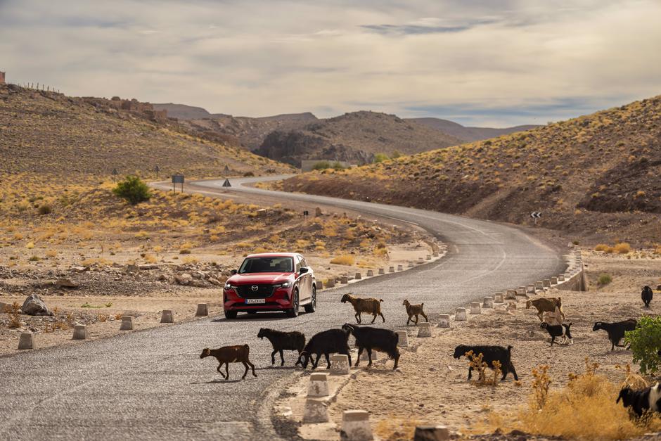 Mazda CX-60 | Avtor: Mazda