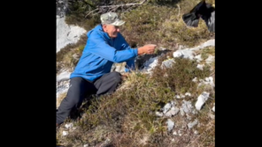 Janez Janša hrani ptice