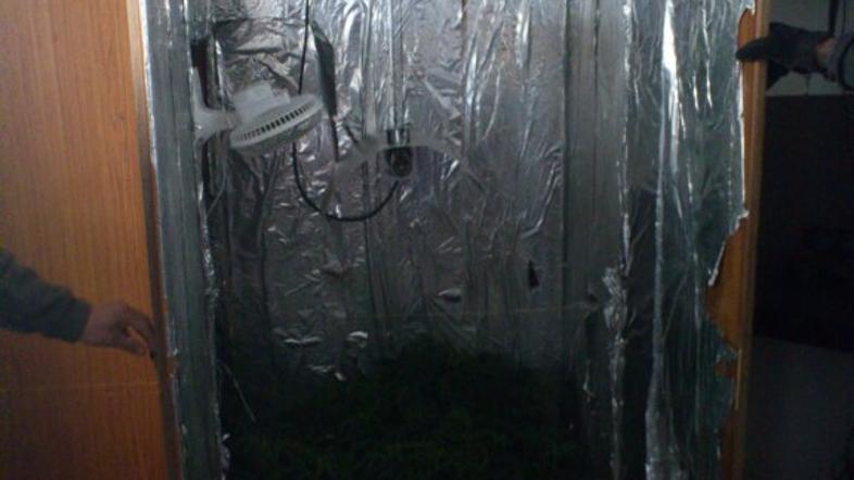 Laboratorij za gojenje konoplje